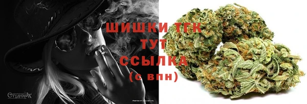 ешки Елабуга