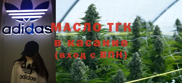 винт Ельня